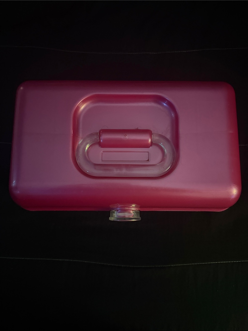 Caboodles Pink Hard Plastic Cosmetic Case